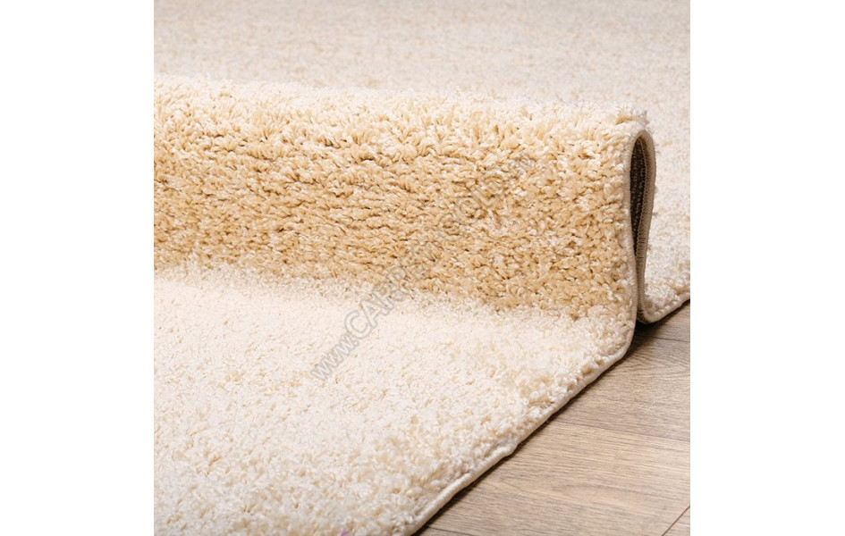 КОВРЫ ДИЗАЙН 44105 ЦВЕТ 46122 Фьюжн